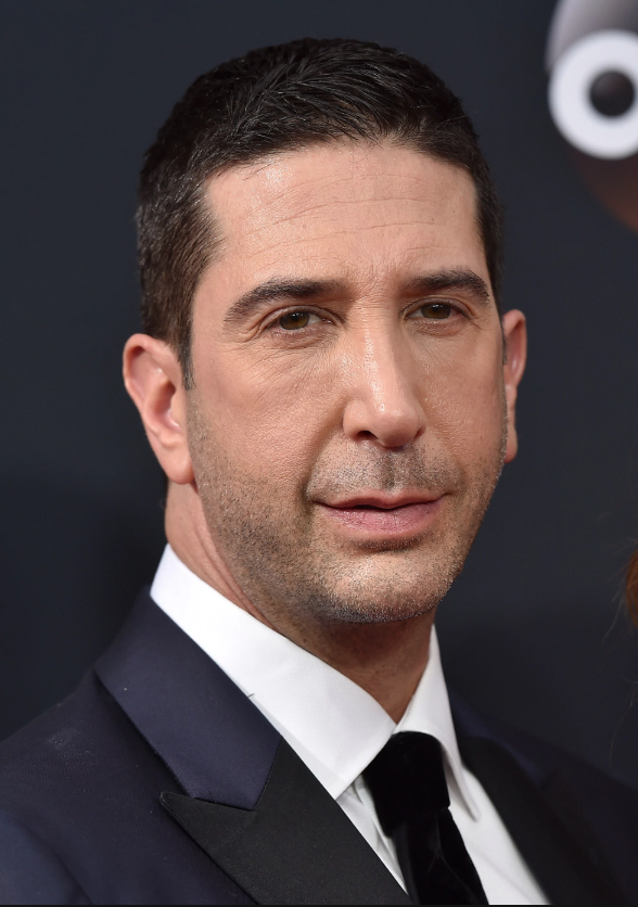 David Schwimmer